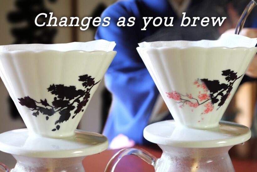 MT coffee brewer KV 6