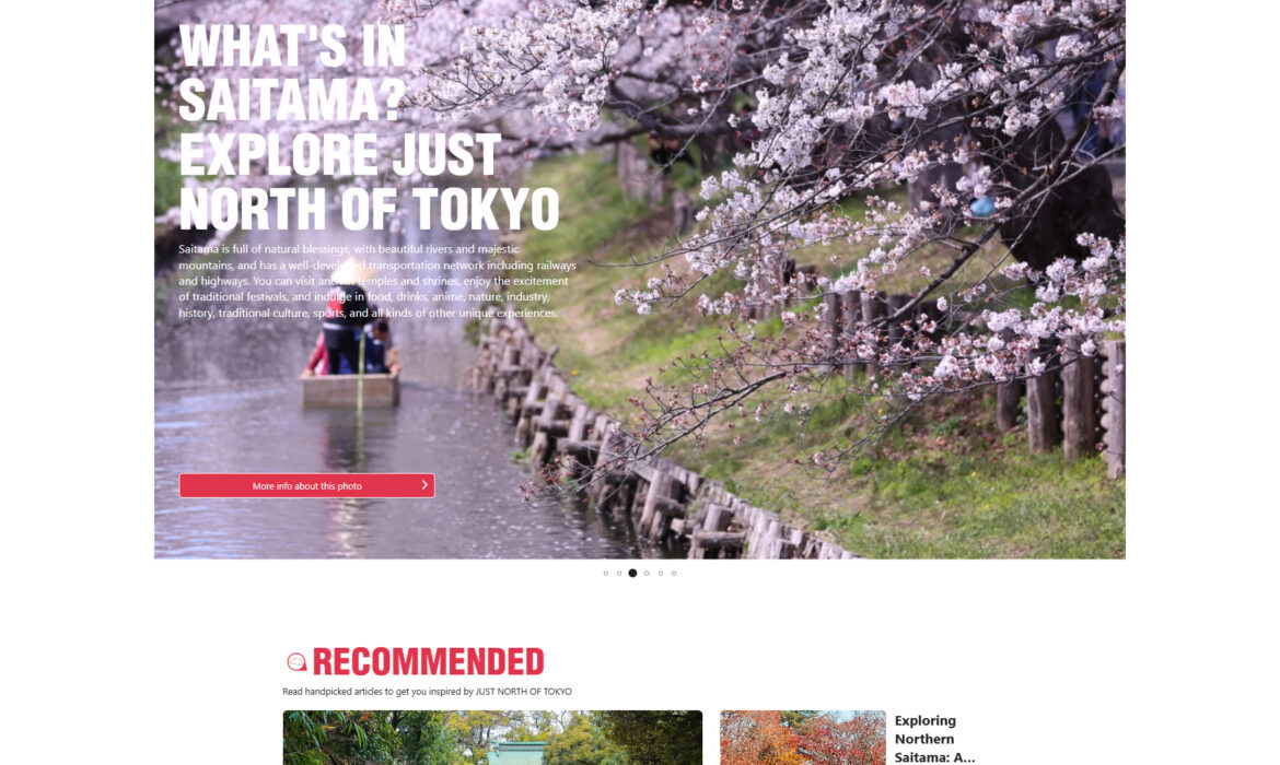 多言語サイト制作、SNS運用